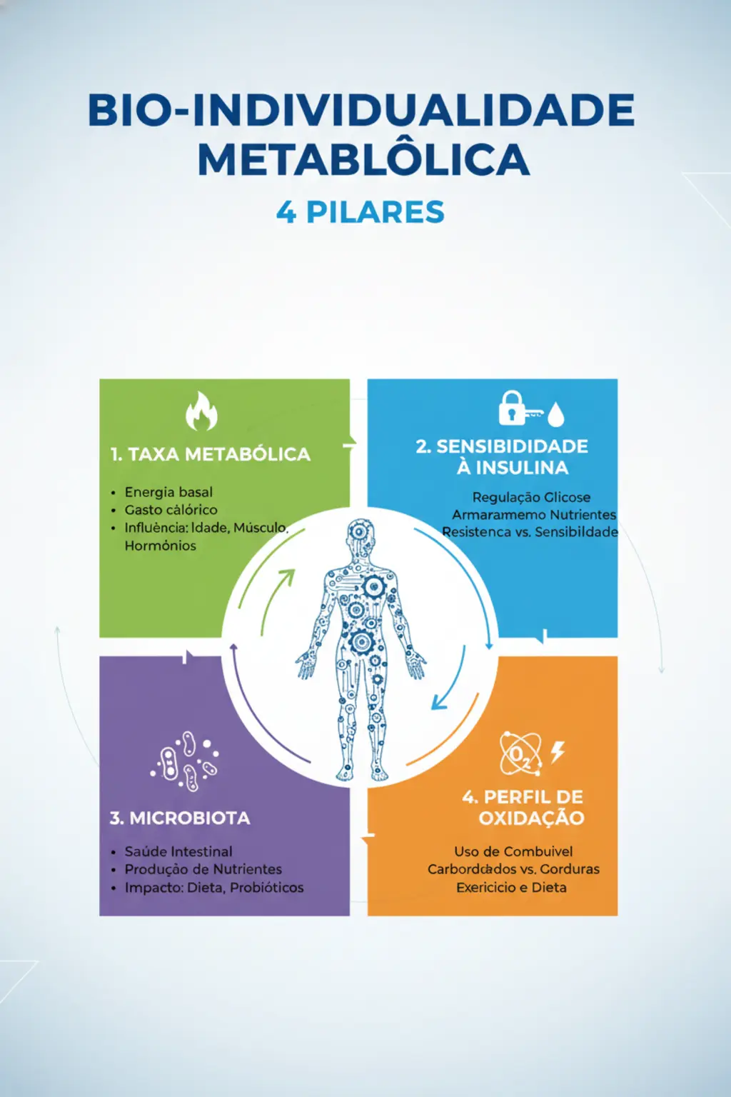 Infográfico da receita