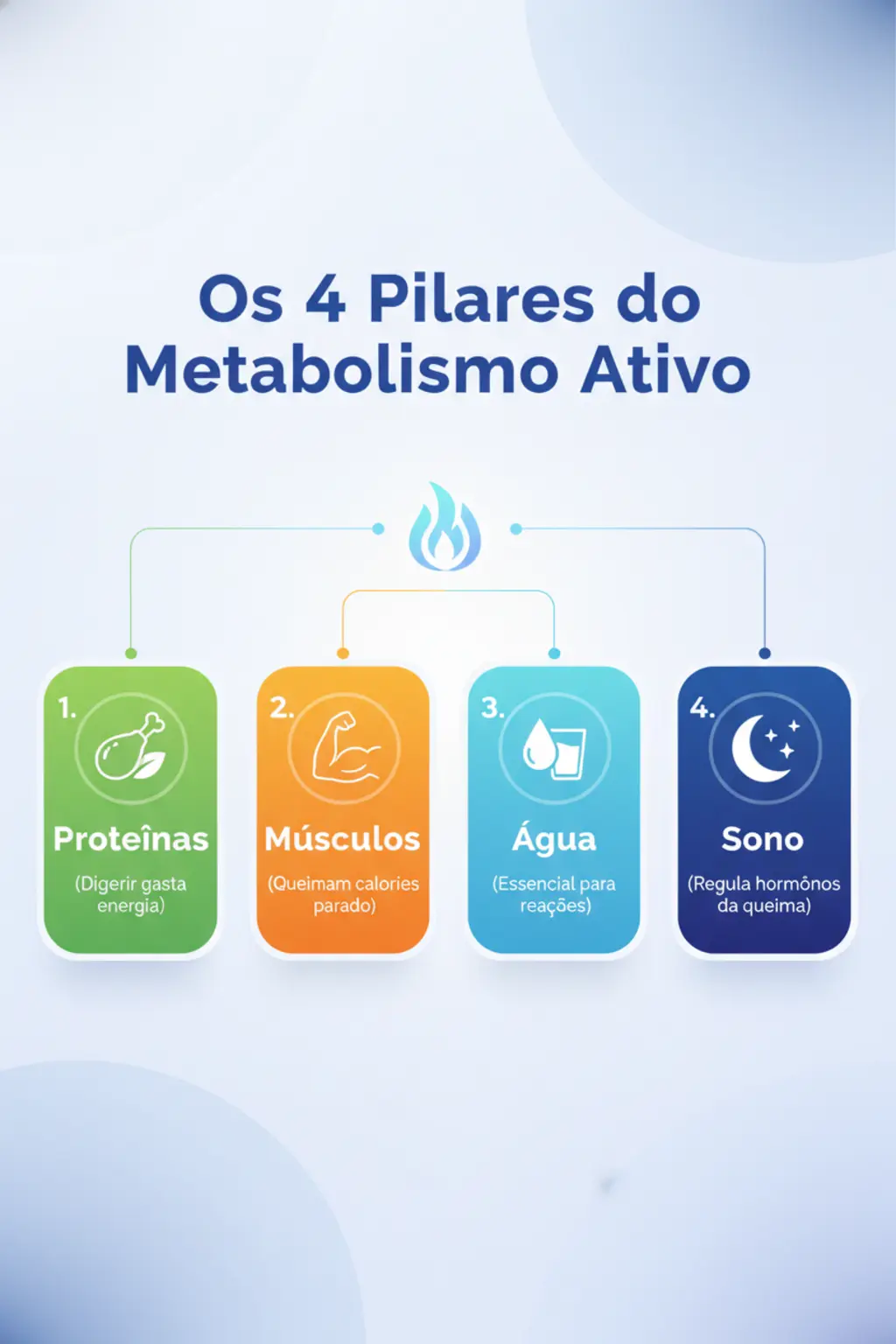 Infográfico da receita