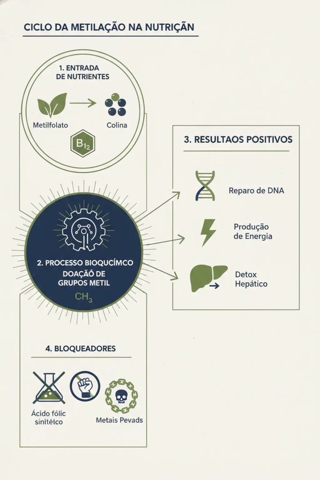 Metilação na Nutrição e a Otimização da Saúde Genética 1 Infográfico da receita