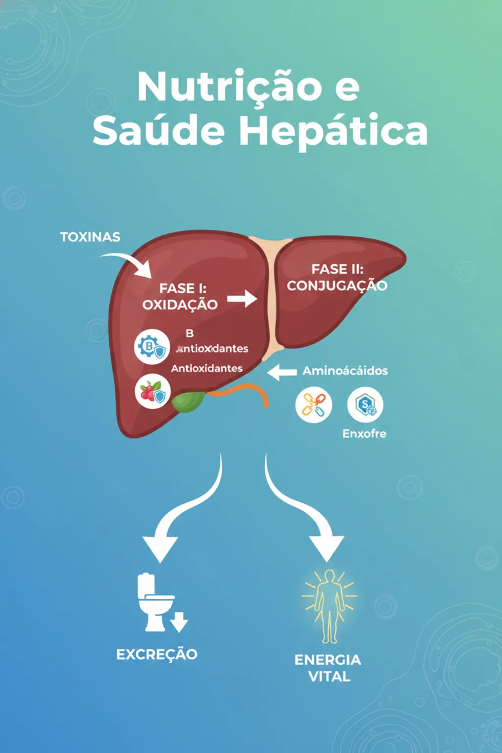 Infográfico da receita