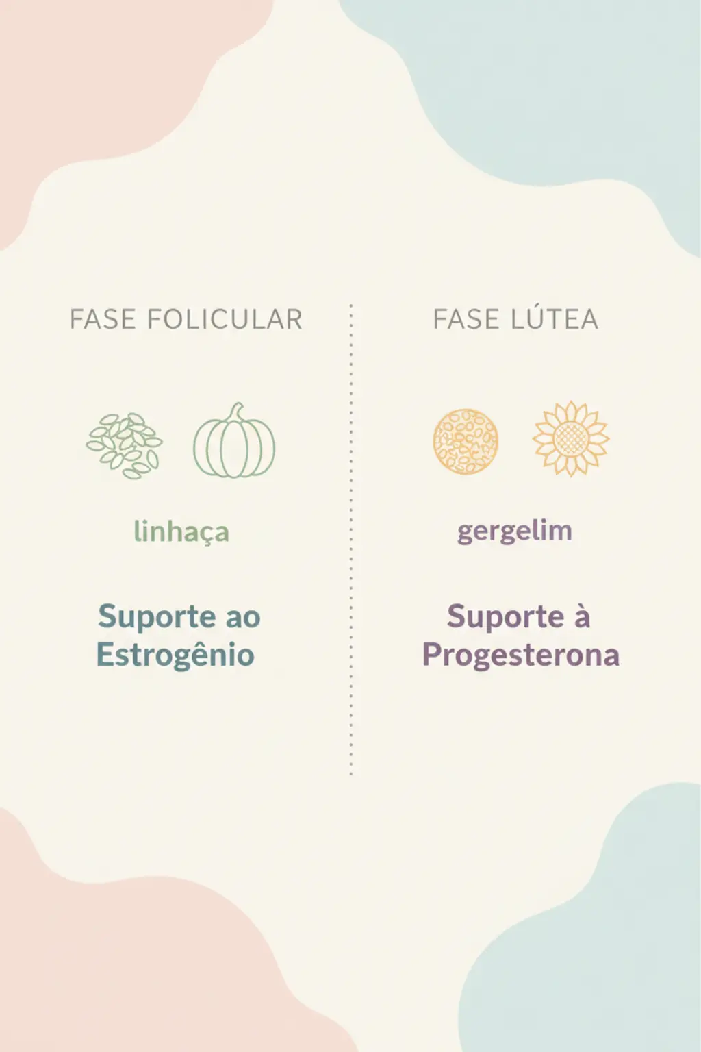 Infográfico da receita