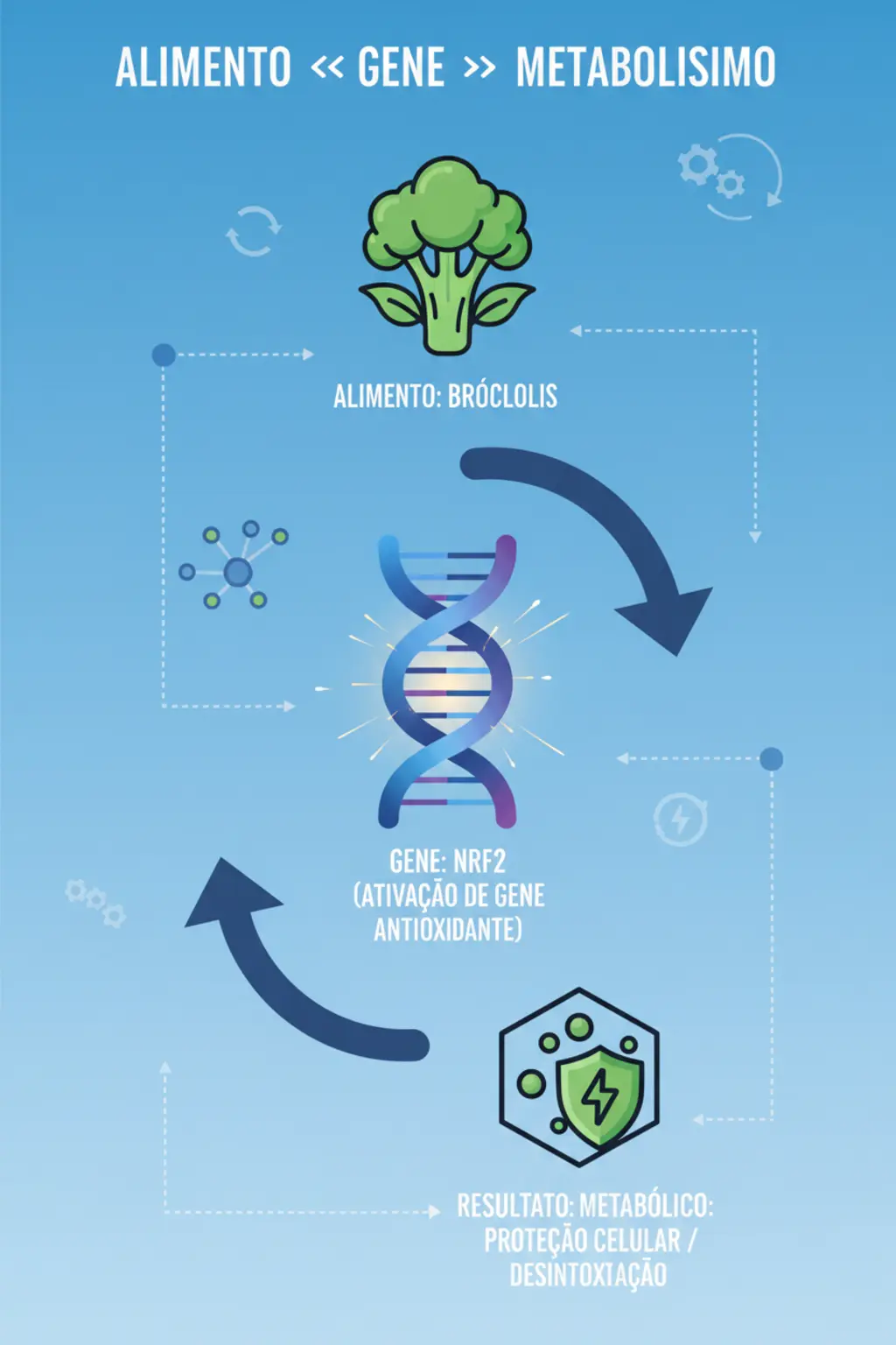 Nutrigenômica e Nutrição Personalizada para Longevidade 1 Infográfico da receita