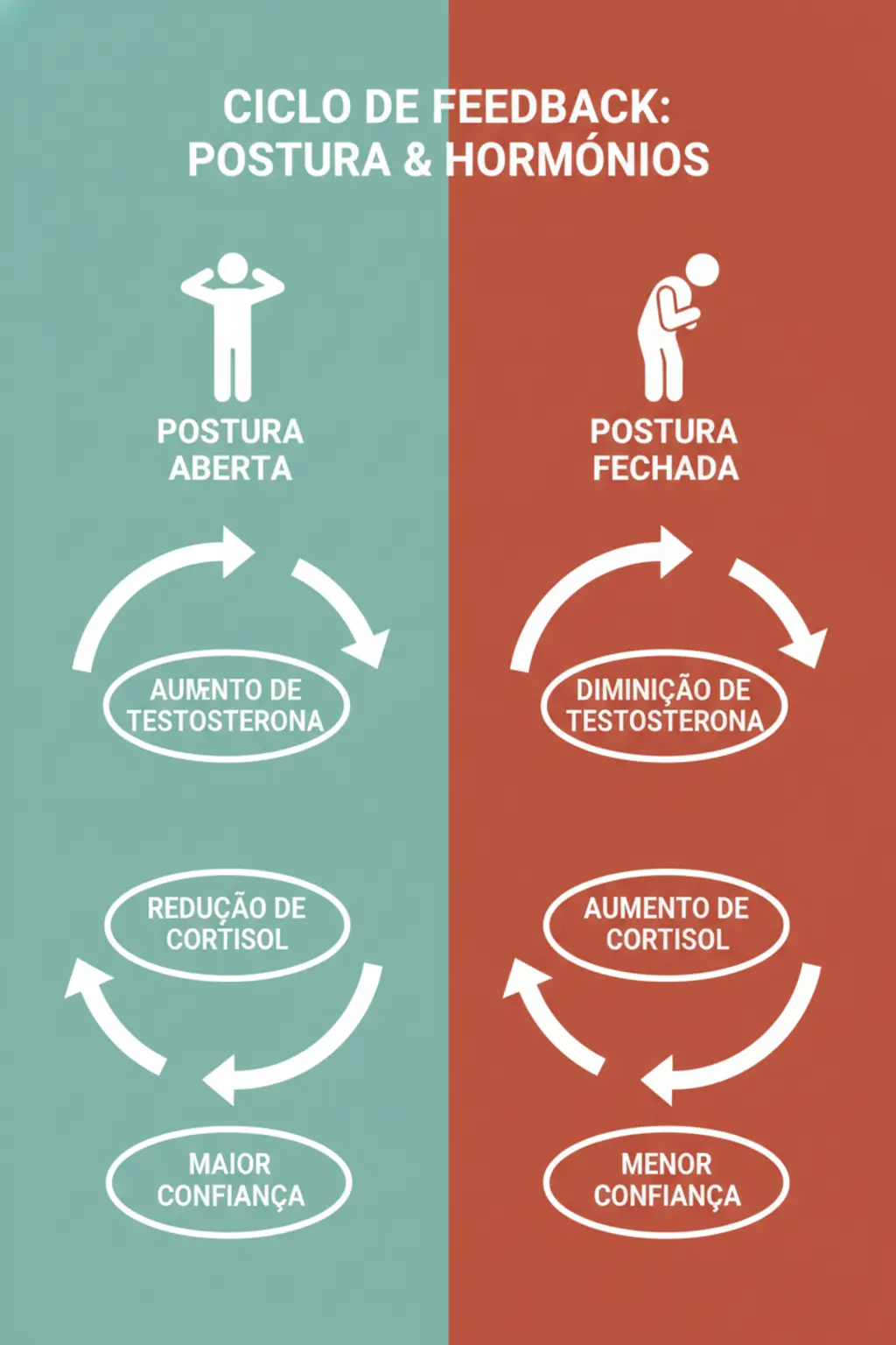 Infográfico da receita