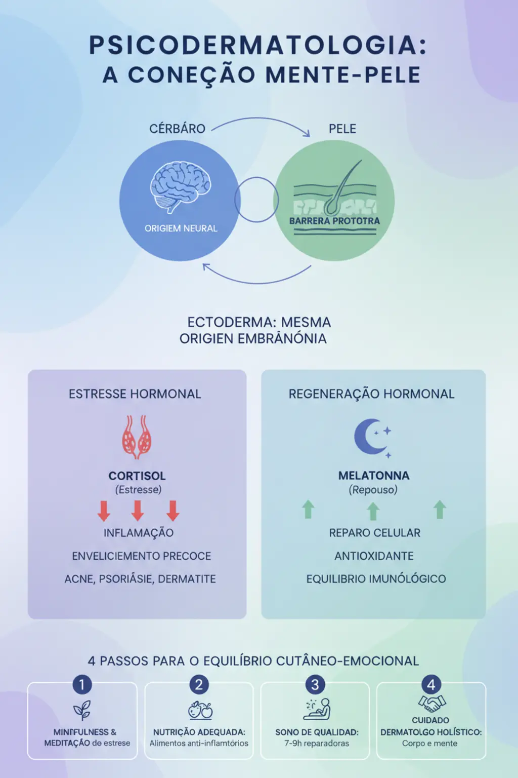 Infográfico da receita