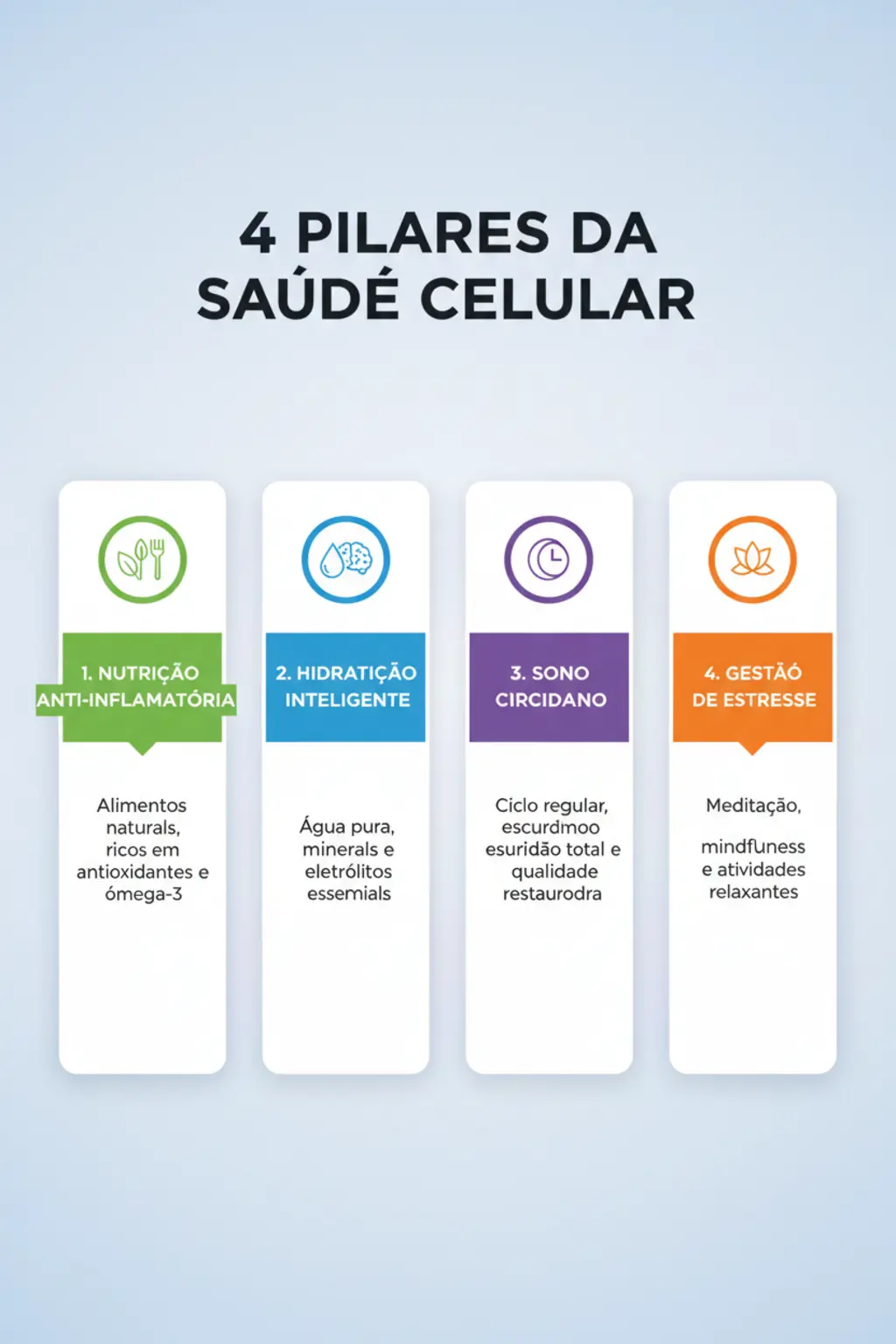 Infográfico da receita