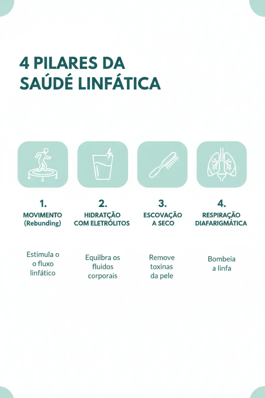 Infográfico da receita