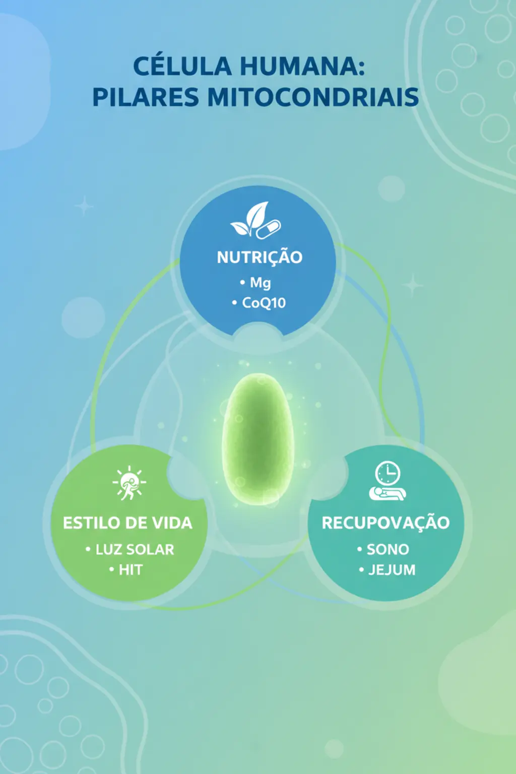 Infográfico da receita