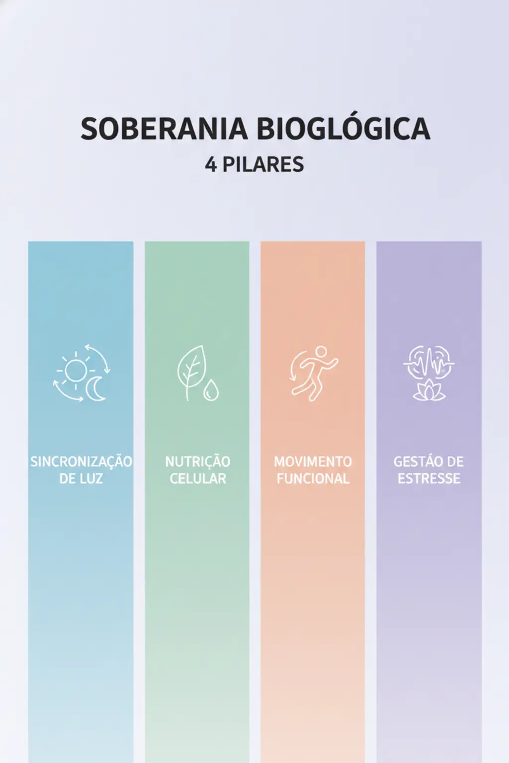 Infográfico da receita