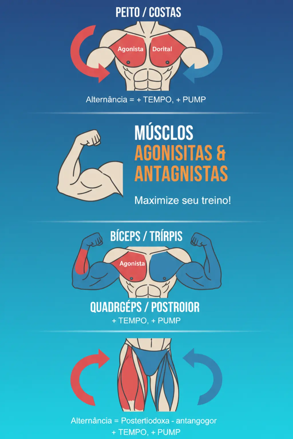 Infográfico da receita