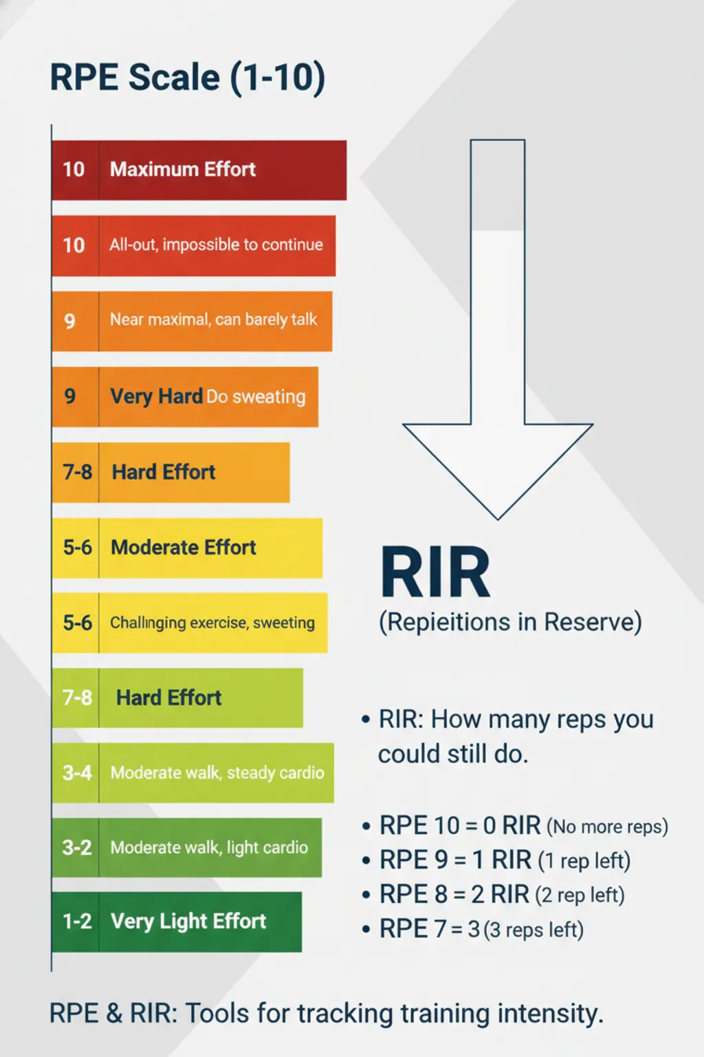 Infográfico da receita